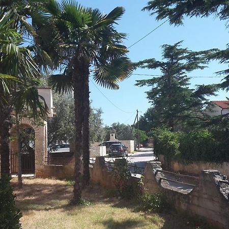 Apartment Zlata Vrcevan ميدولين المظهر الخارجي الصورة