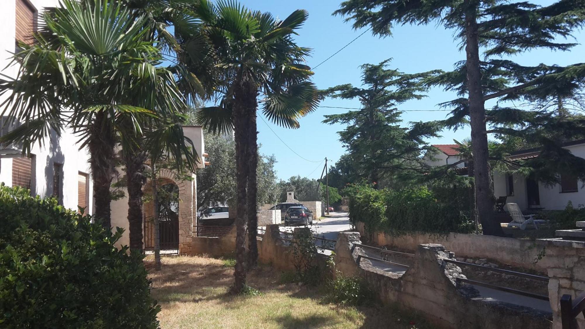 Apartment Zlata Vrcevan ميدولين المظهر الخارجي الصورة